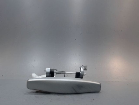 POIGNEE EXTERIEURE PORTE ARRIERE GAUCHE DACIA SANDERO