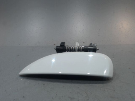 POIGNEE EXTERIEURE PORTE ARRIERE GAUCHE DACIA DUSTER