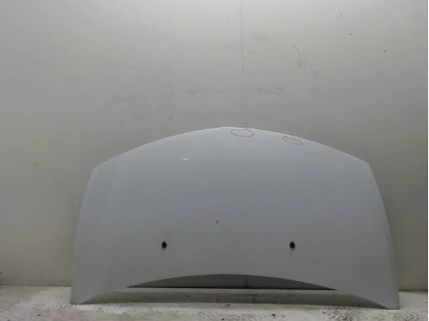 CAPOT RENAULT CLIO