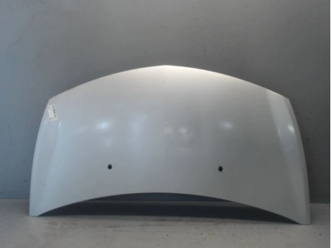 CAPOT RENAULT CLIO