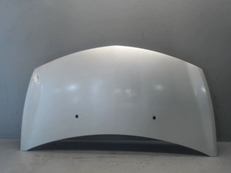 CAPOT RENAULT CLIO