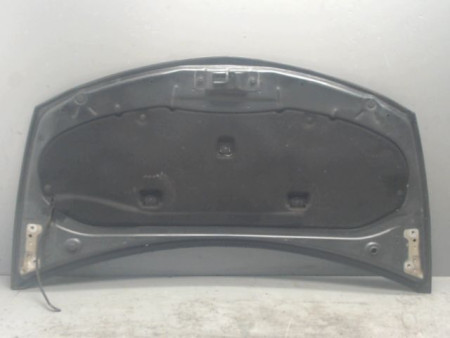 CAPOT RENAULT CLIO