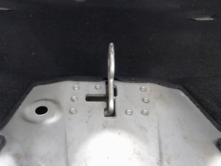 CAPOT CITROEN C4