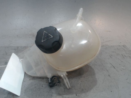 VASE EXPANSION RENAULT TWINGO