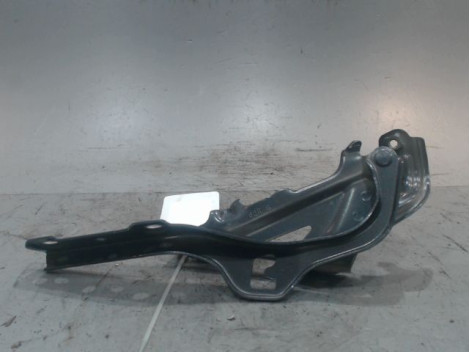 COMPAS DROIT CAPOT SUZUKI IGNIS