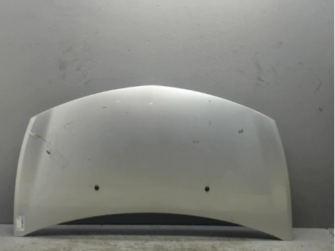 CAPOT RENAULT CLIO