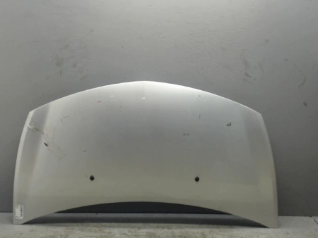 CAPOT RENAULT CLIO