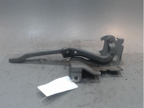COMPAS GAUCHE CAPOT RENAULT LATITUDE