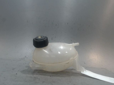 VASE EXPANSION RENAULT CLIO