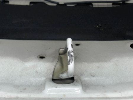 CAPOT CITROEN C2