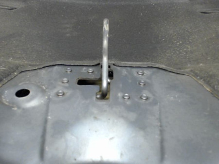 CAPOT CITROEN C4