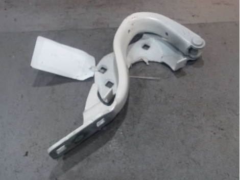 COMPAS GAUCHE CAPOT FIAT 500