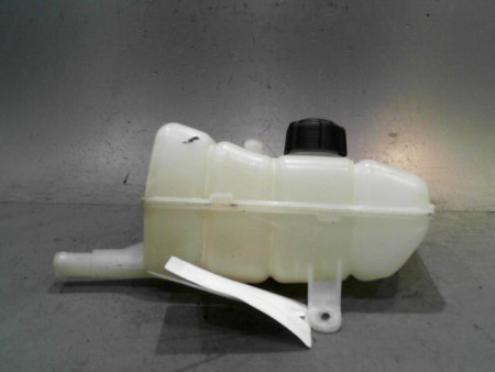 VASE EXPANSION RENAULT MEGANE