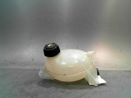 VASE EXPANSION RENAULT CLIO