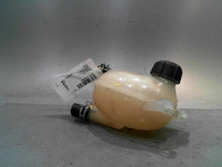 VASE EXPANSION DACIA SANDERO