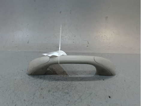 POIGNÉE DE MAINTIEN ARG DACIA SANDERO