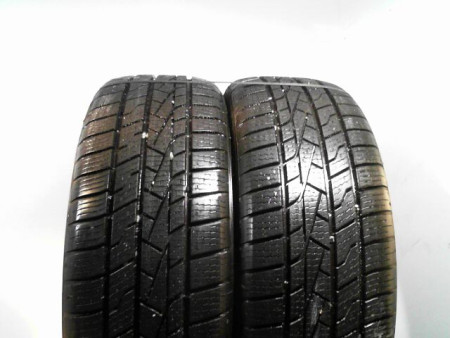 Paire de pneus MASTER STEEL ALL WEATHER 205 55 17 95 V