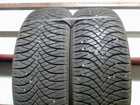 Paire de pneus GOODRIDE ALLSEASON ELITE Z401 195 55 16 91 V