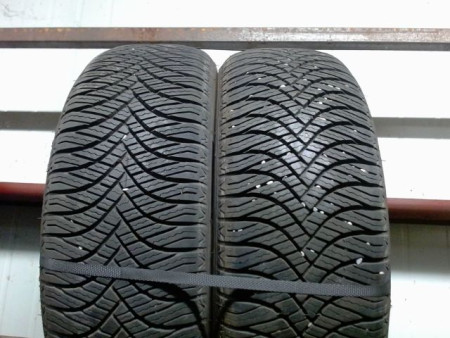 Paire de pneus GOODRIDE ALLSEASON ELITE Z401 195 55 16 91 V