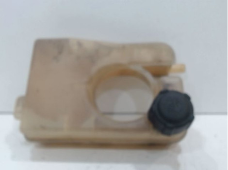 VASE EXPANSION RENAULT TWINGO