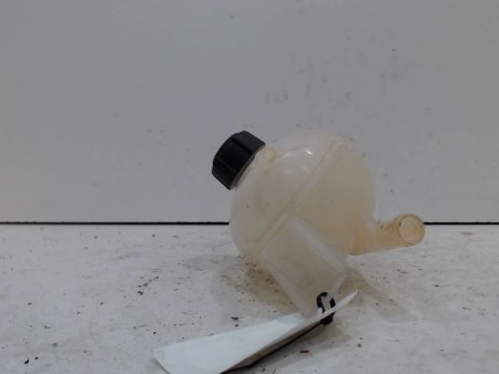 VASE EXPANSION RENAULT CLIO