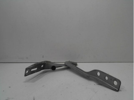 COMPAS GAUCHE CAPOT PEUGEOT 307 CC 2005-
